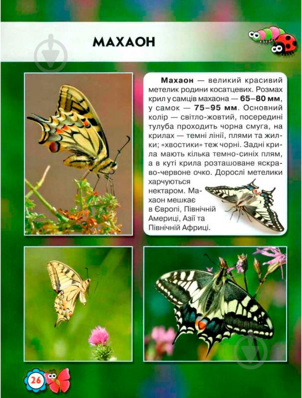 Книга Тамара Протасовицька «Світ навколо нас. Комахи» 978-966-9369-20-8 - фото 7