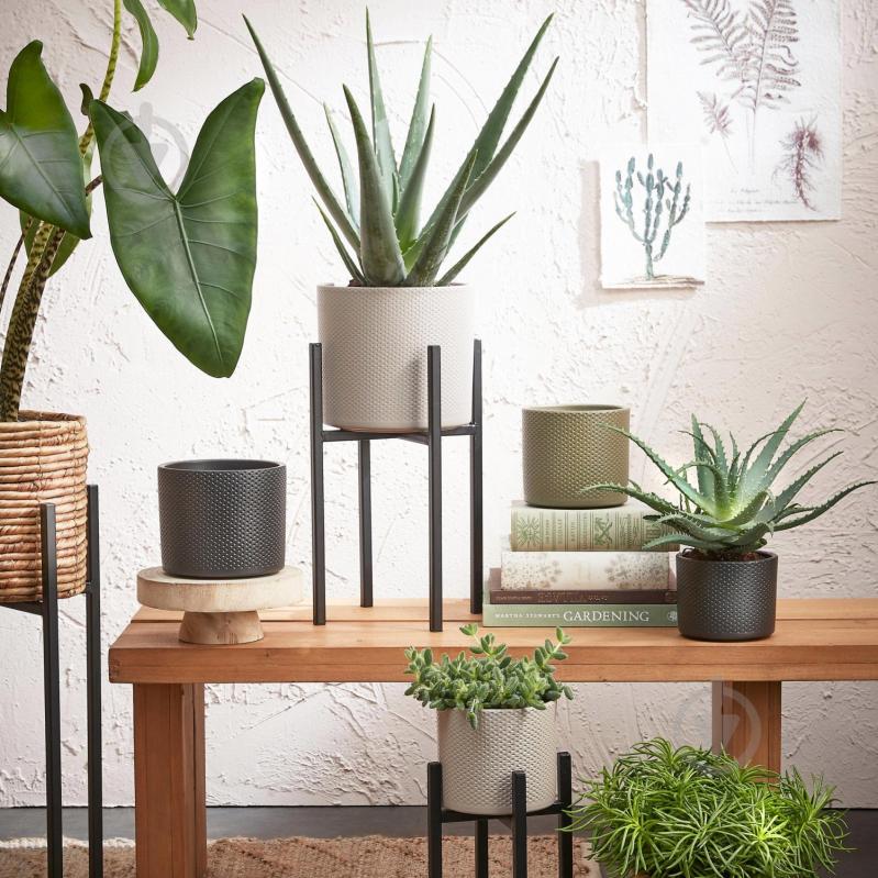 Вазон керамика Era pot round 23х21,5 см круглый серо-коричневый Edelman (1057341) - фото 3