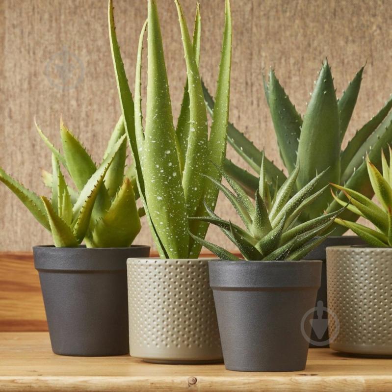 Вазон керамика Era pot round 23х21,5 см круглый серо-коричневый Edelman (1057341) - фото 5