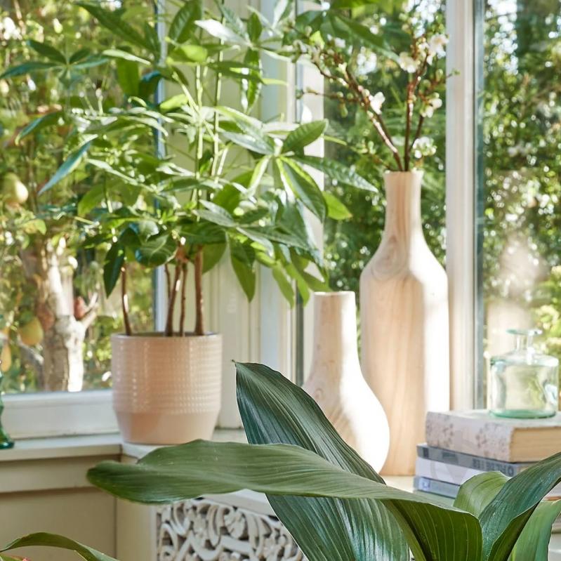 Вазон керамика Nola pot round круглый бежевый Edelman (1157294) - фото 3 Вазон керамика Nola pot round круглый бежевый Edelman (1157294) - фото 3