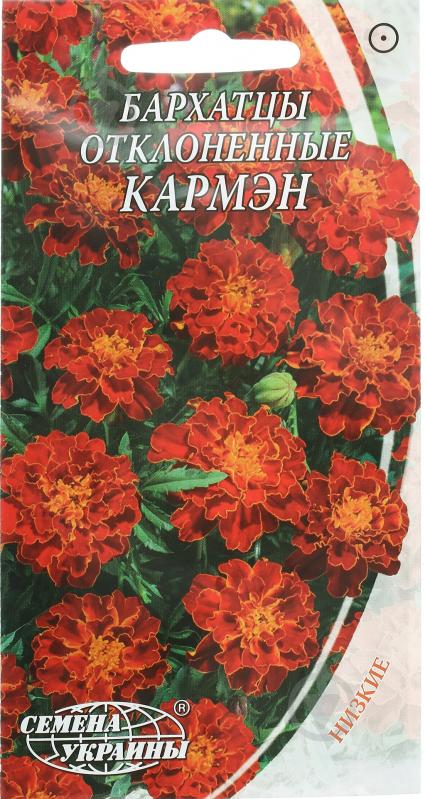 Семена Насіння України бархатцы отклоненные Кармэн 0,5 г - фото 1