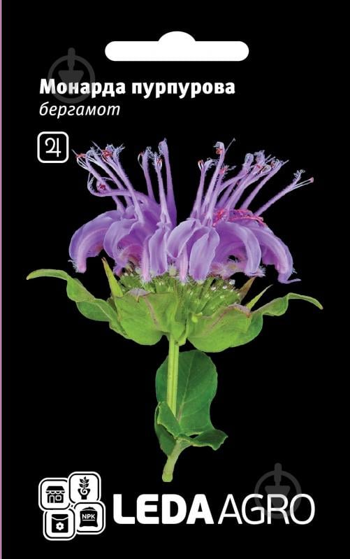 Семена LedaAgro монарда пурпурная бергамот 0,3 г (4820119790069) - фото 1