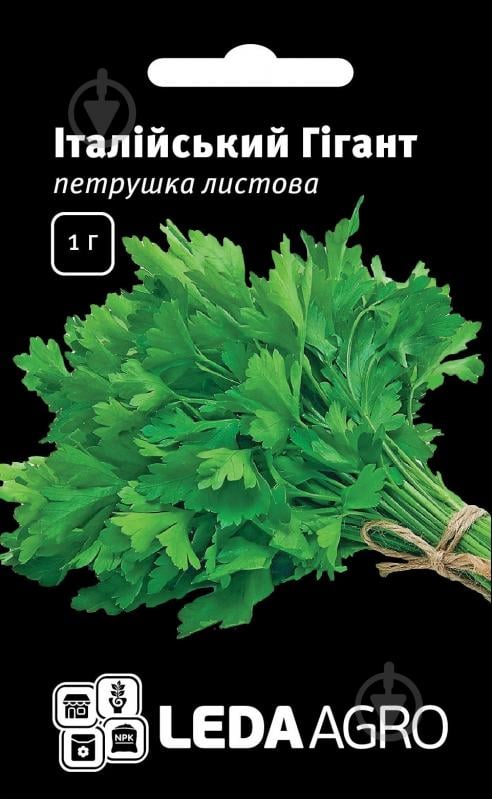 Насіння LedaAgro петрушка листова Італійський Гігант 1 г (4820119792513) - фото 1