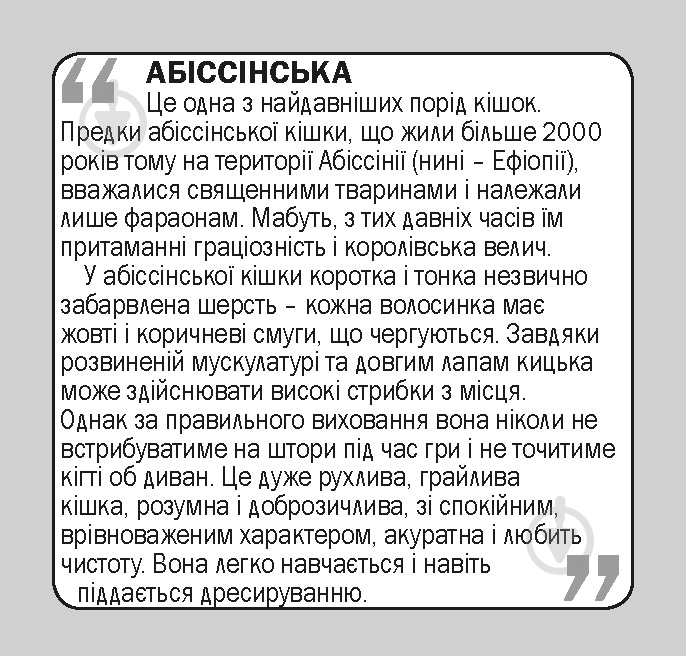 Книга «Навчальний посібник. Коти. англ-укр» - фото 3 Книга «Навчальний посібник. Коти. англ-укр» - фото 3
