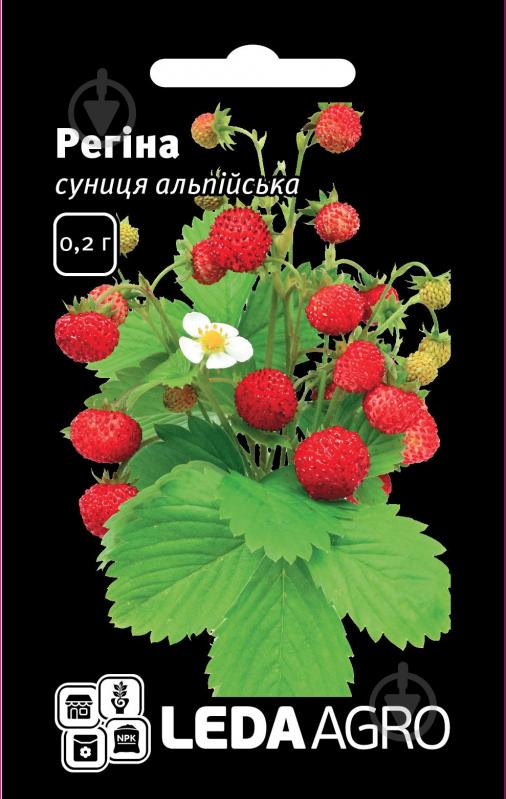 Насіння LedaAgro суниця альпійська Регіна 0,2 г - фото 1