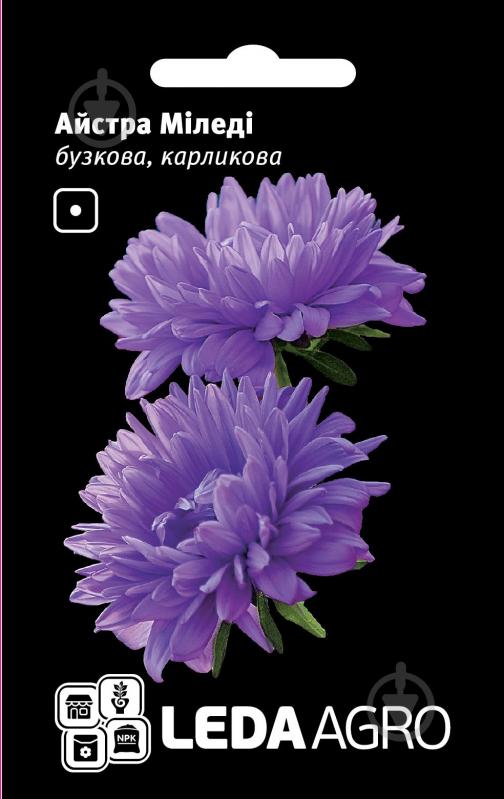 Насіння LedaAgro айстра карликова Міледі бузкова 0,2 г (4820119793329) - фото 1