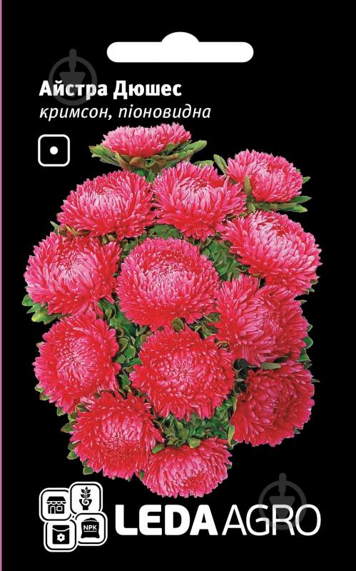 Насіння LedaAgro айстра піоновидна Дюшес кримсон 0,2 г (4820119793343) - фото 1