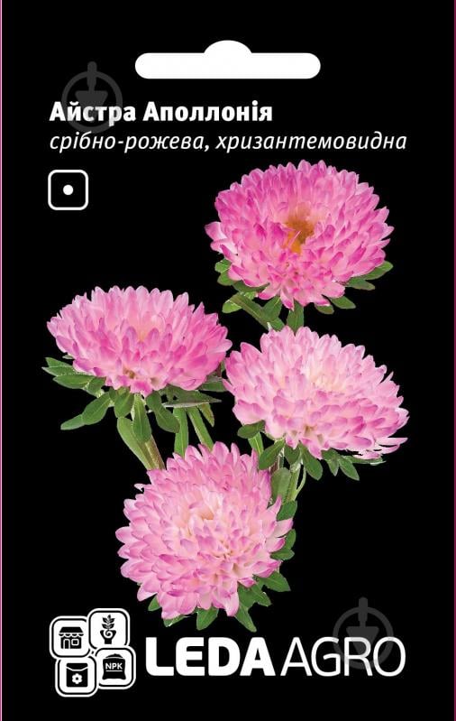 Семена LedaAgro астра хризантемовидная Аполлония серебряно-розовая 0,2 г (4820119793381) - фото 1