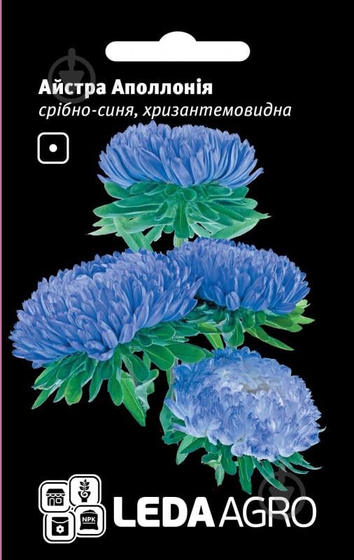 Насіння LedaAgro айстра хризантемоподібна Аполлонія срібно-синя 0,2 г (4820119793398) - фото 1