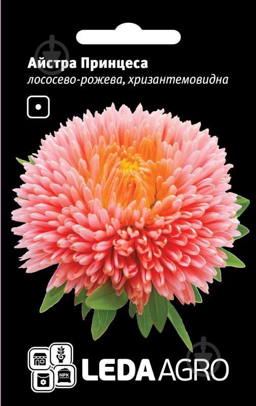 Семена LedaAgro астра хризантемовидная Принцесса лососево-розовая 0,2 г (4820119793428) - фото 1