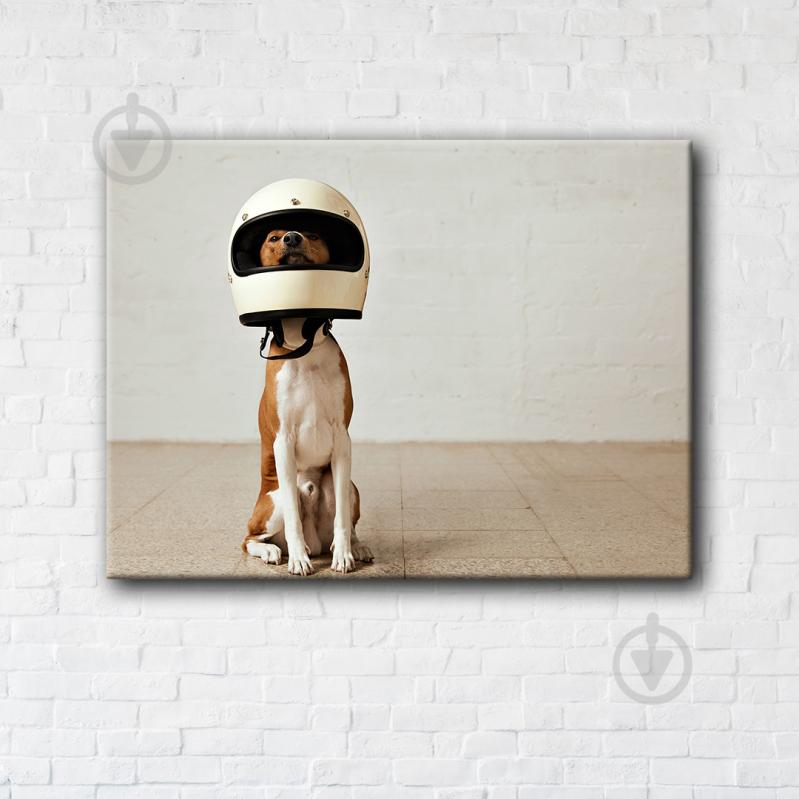 Постер Dog astronaut 90x120 см Brushme - фото 1