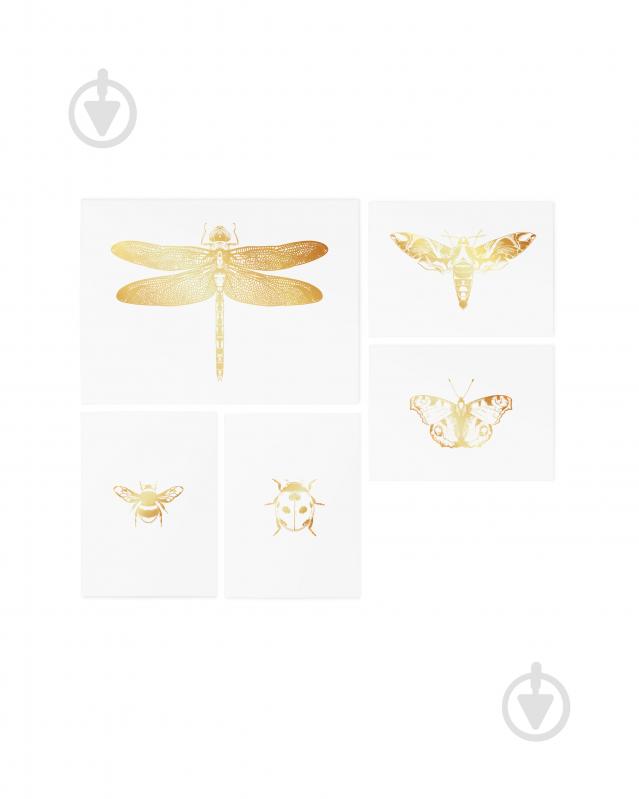 Тату временное TATTon.me Gold Dragonfly Set - фото 2