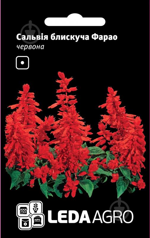 Насіння LedaAgro сальвія блискуча Фарао червона 0,05 г (4820119793732) - фото 1