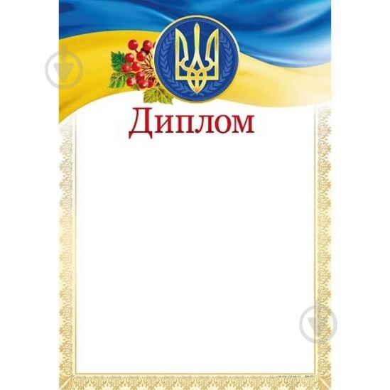 Диплом ДМ-031 - фото 1