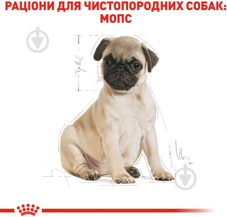 Корм Royal Canin для цуценят PUG PUPPY (Паг Паппі), 0,5 кг (домашня птиця) 500 г - фото 3