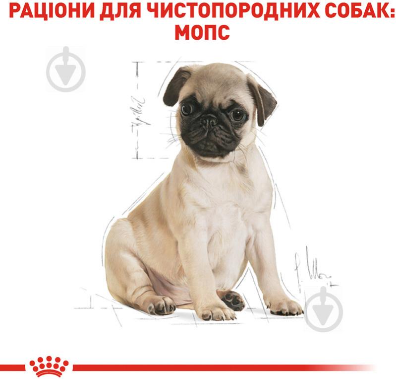 Royal Canin PUG PUPPY 0 5