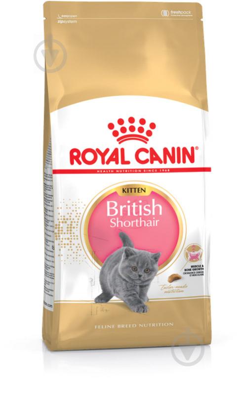 Корм сухой для котят породы британская короткошерстная Royal Canin British Shorthair Kitten домашняя птица 400 г - фото 1