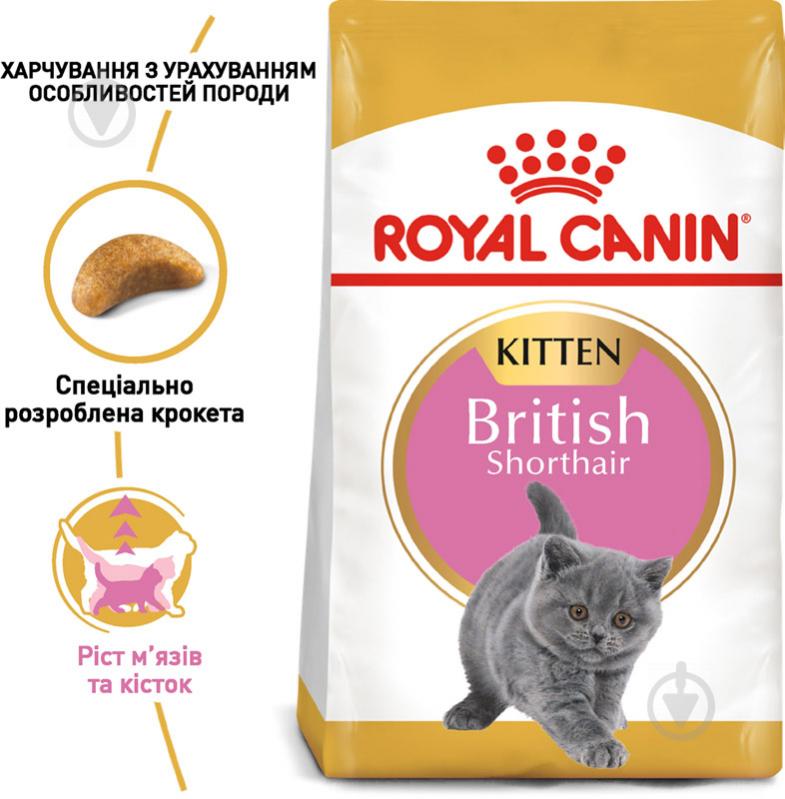 Корм сухой для котят породы британская короткошерстная Royal Canin British Shorthair Kitten домашняя птица 400 г - фото 2