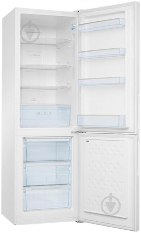 Холодильник Hansa FK321.6GWDF - фото 2