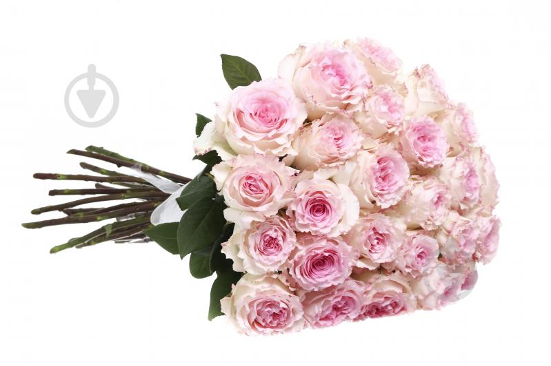 Троянда Frutetto одноголова класична 60 см рожевий - фото 3