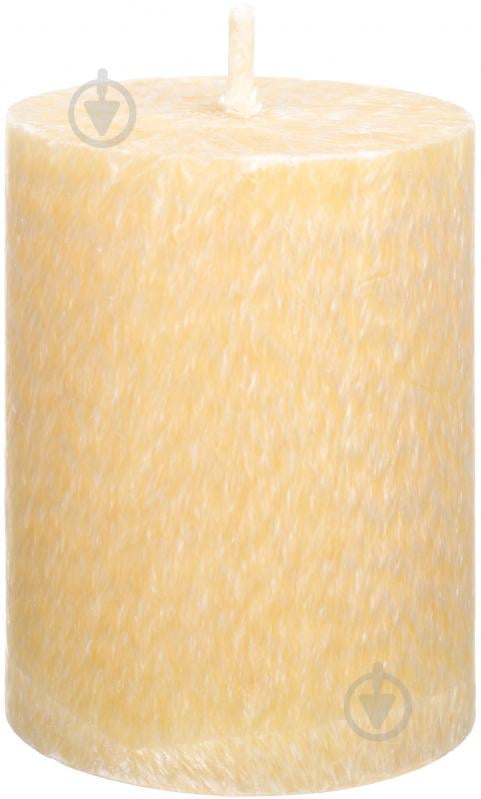 Свеча WP13 55/70 - фото 1