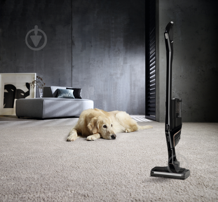 Пилосос акумуляторний Miele SOML0 30 TRIFLEX HX2 Cat & Dog (41OML030UA) - фото 12