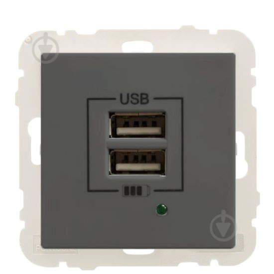 Розетка USB кінцева подвійна із заземленням Efapel Apolo IP20 графіт 50384 TGR - фото 1