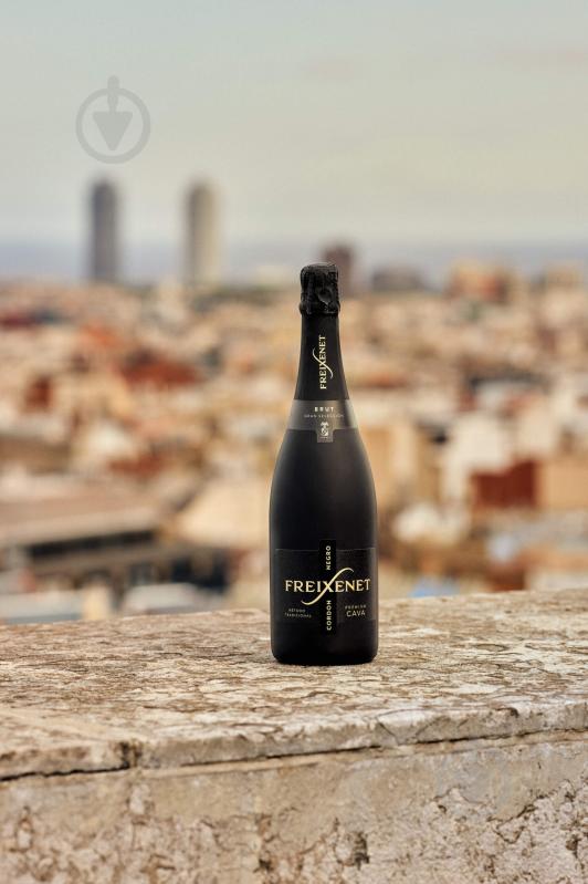 Вино игристое CAVA Фрешенет белое брют 0,75 л - фото 3 Вино игристое CAVA Фрешенет белое брют 0,75 л - фото 3