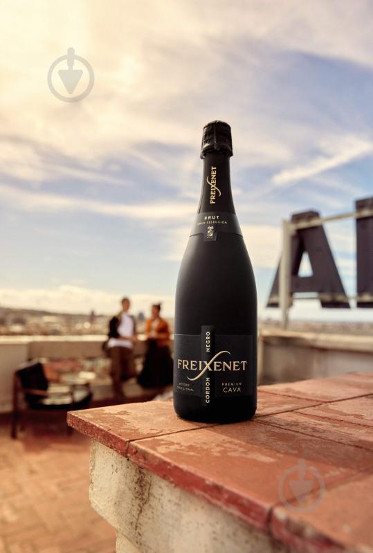 Вино игристое CAVA Фрешенет белое брют 0,75 л - фото 5 Вино игристое CAVA Фрешенет белое брют 0,75 л - фото 5