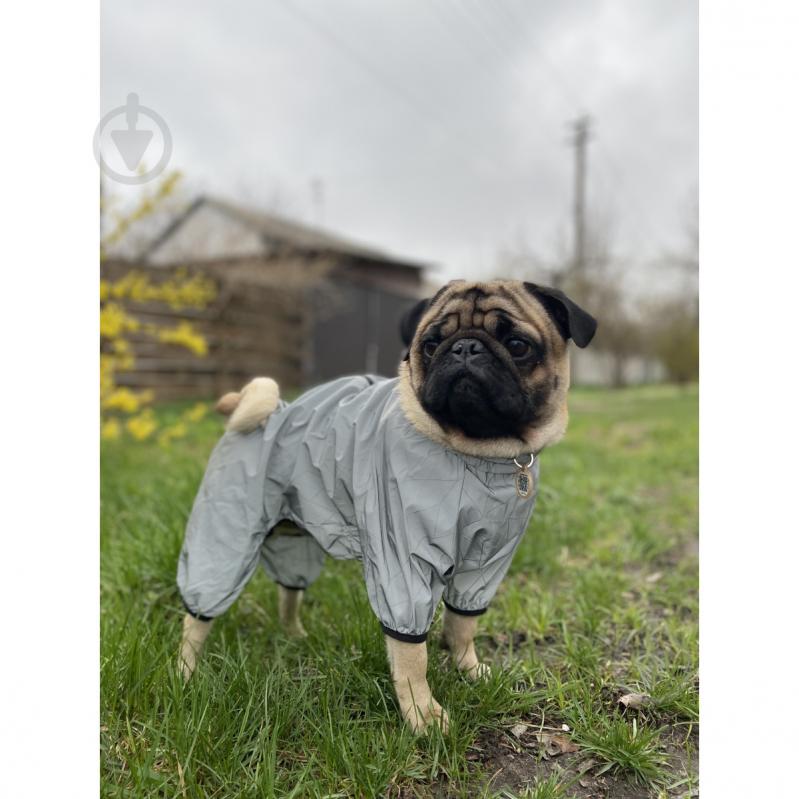 Вітрівка Waudog Clothes світловідбивна XS30 - фото 6 Вітрівка Waudog Clothes світловідбивна XS30 - фото 6