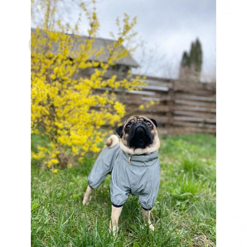 Ветровка Waudog Clothes светоотражающая M35 - фото 7 Ветровка Waudog Clothes светоотражающая M35 - фото 7