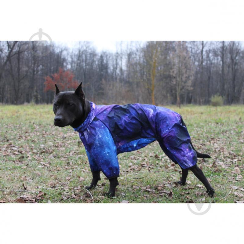 Вітрівка Waudog Clothes малюнок NASA21 S40 - фото 10 Вітрівка Waudog Clothes малюнок NASA21 S40 - фото 10