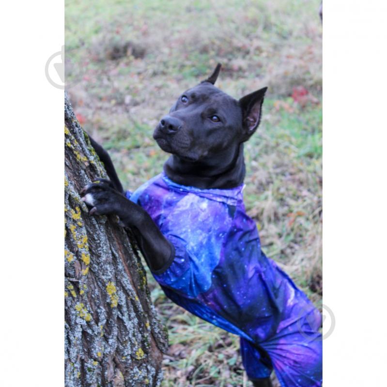 Вітрівка Waudog Clothes малюнок NASA21 M45 - фото 11 Вітрівка Waudog Clothes малюнок NASA21 M45 - фото 11