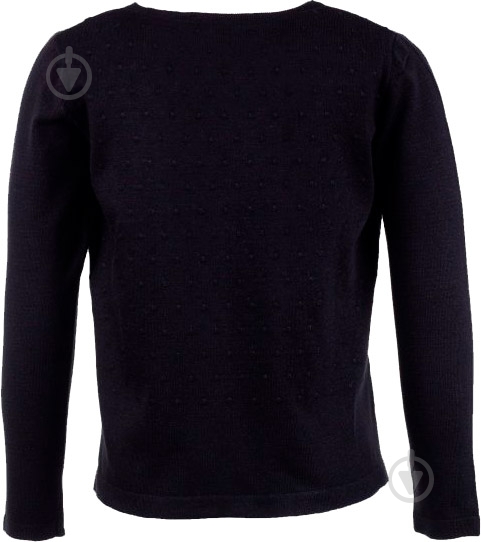 Джемпер для мальчика Flash р.146 черный 17D930-1114_4000 - фото 2