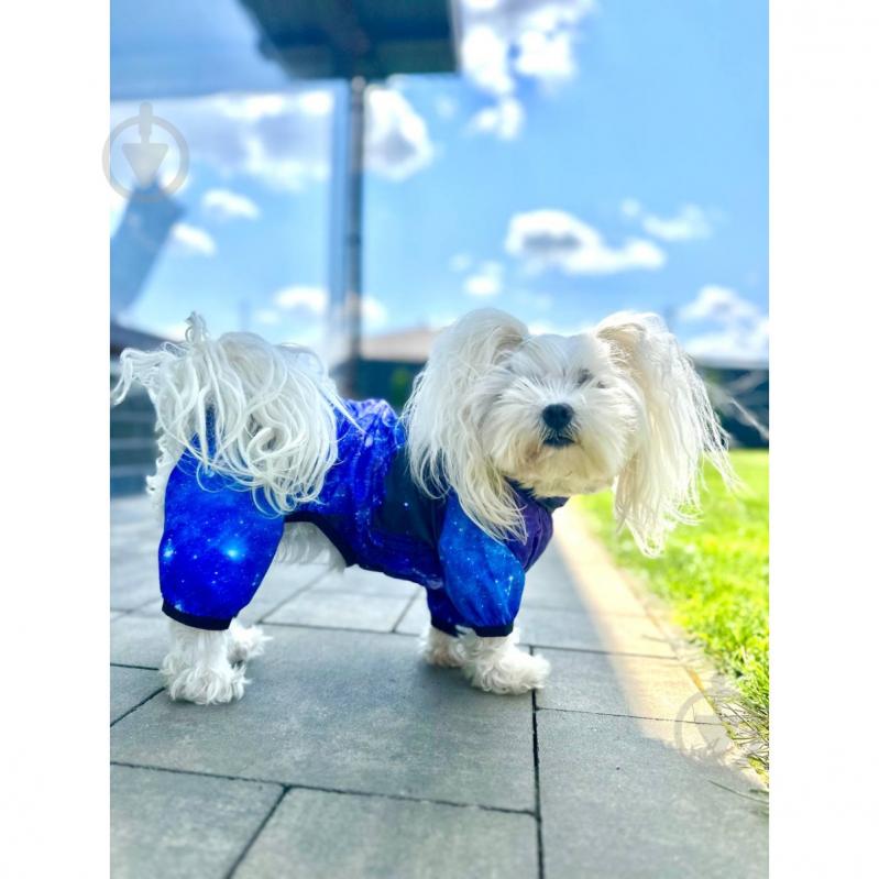 Вітрівка Waudog Clothes малюнок NASA21 XS25 - фото 5 Вітрівка Waudog Clothes малюнок NASA21 XS25 - фото 5