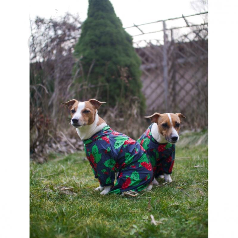 Ветровка Waudog Clothes рисунок Калина XS25 - фото 6 Ветровка Waudog Clothes рисунок Калина XS25 - фото 6