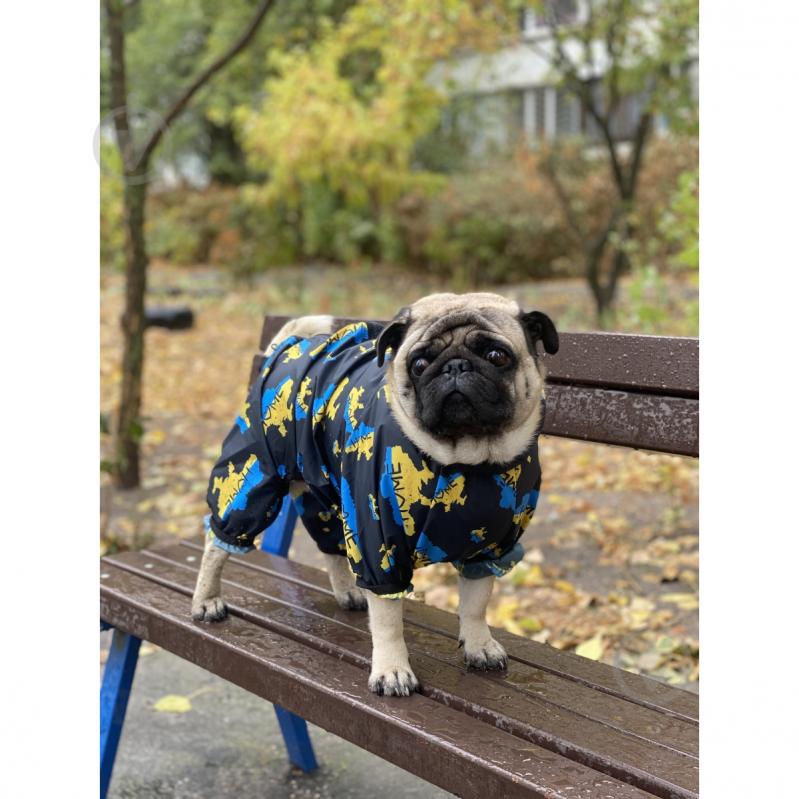 Дощовик Waudog Clothes Дім M35 (5336-0230) - фото 6