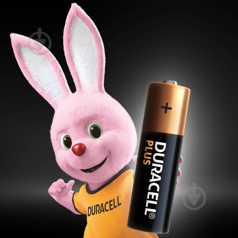 Батарейки Duracell Plus LR06 AA (R6, 316) 6 шт. - фото 2