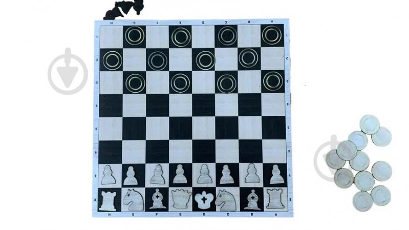 Ігровий набір 4PROFI Шашки та шахи 2 в 1 30x30 см - фото 1 Ігровий набір 4PROFI Шашки та шахи 2 в 1 30x30 см - фото 1
