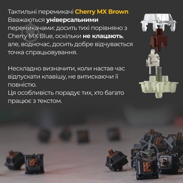 Клавиатура Ducky Ducky One 3 Cherry MX Brown RGB UA (DKON2108ST-BUAPXCLAWSC1) black - фото 25