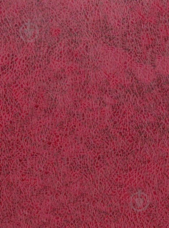 Книга Отто Вейнингер «Пол и характер» 978-966-03-4927-8 - фото 2 Книга Отто Вейнингер «Пол и характер» 978-966-03-4927-8 - фото 2