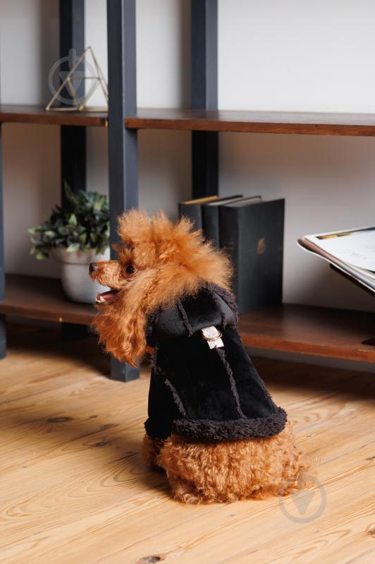 Дубленка Pet Fashion Black S - фото 4