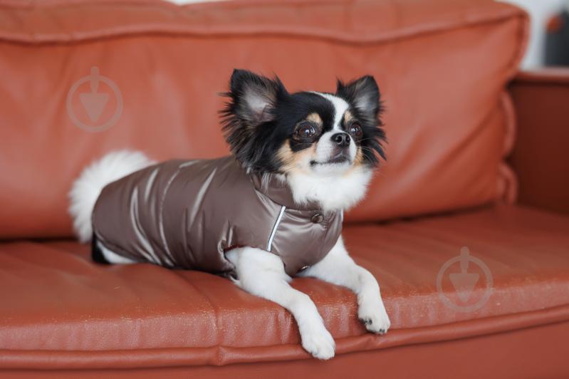 Жилет Pet Fashion Hardy ХS-2 коричневый - фото 4