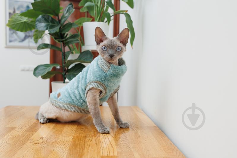 Свитер Tim L мятный - фото 3