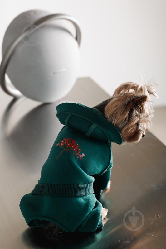 Костюм Pet Fashion Berry S изумруд - фото 4