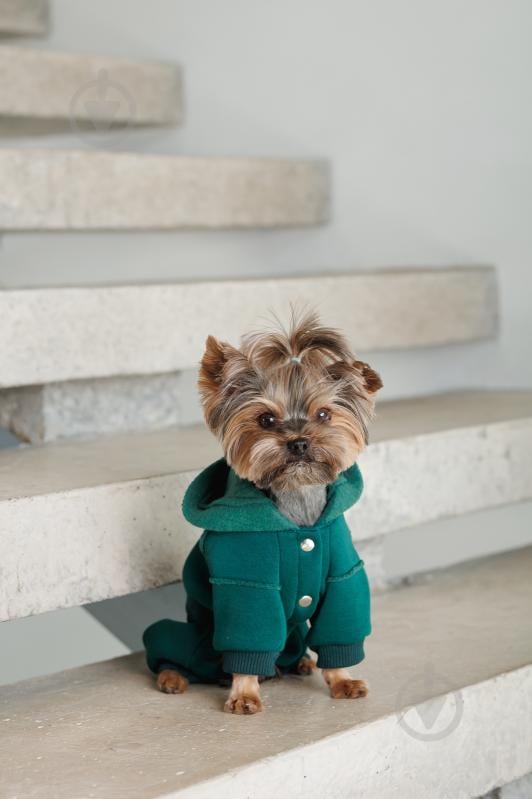 Костюм Pet Fashion Berry S изумруд - фото 5