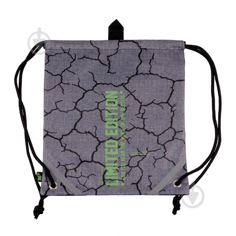 Сумка для обуви YES SB-10 Lightning - фото 1