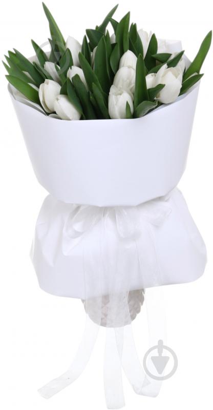 Тюльпан White Marvel одноголова класична білий (Нідерланди) - фото 4 Тюльпан White Marvel одноголова класична білий (Нідерланди) - фото 4