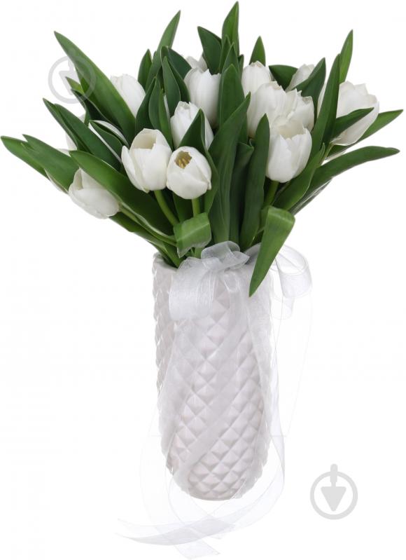 Тюльпан White Marvel одноголова класична білий (Нідерланди) - фото 3 Тюльпан White Marvel одноголова класична білий (Нідерланди) - фото 3
