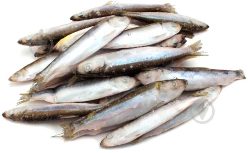 Салака свежемороженая - фото 1